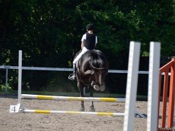 2013 Sommerturnering